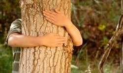 Photo of tree hugger. J.P. Rogers blog at the ODD Group.Picture